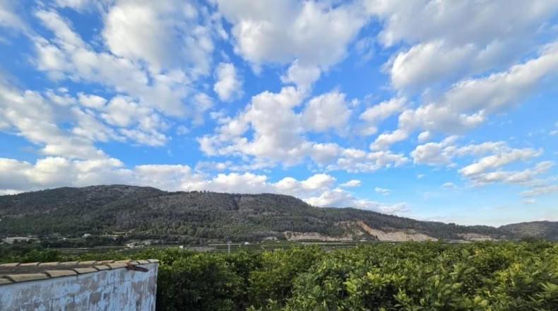 Alicante - Elche - 3920m2