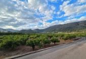 Xalet independent amb terreny en venda a la España, l'Atzúbia, ref.: TR360446 foto