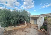 Xalet independent amb terreny en venda a la España, l'Atzúbia, ref.: TR360446 foto