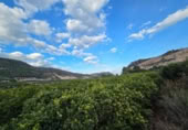 Xalet independent amb terreny en venda a la España, l'Atzúbia, ref.: TR360446 foto