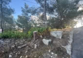 Sòl urbà en venda a la España, la Bisbal del Penedès, ref.: TR380856 foto