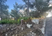 Sòl urbà en venda a la España, la Bisbal del Penedès, ref.: TR369318 foto