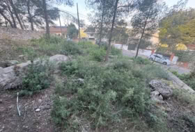 Foto 9