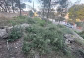 Sòl urbà en venda a la España, la Bisbal del Penedès, ref.: TR369318 foto