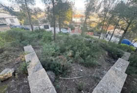 Foto 7