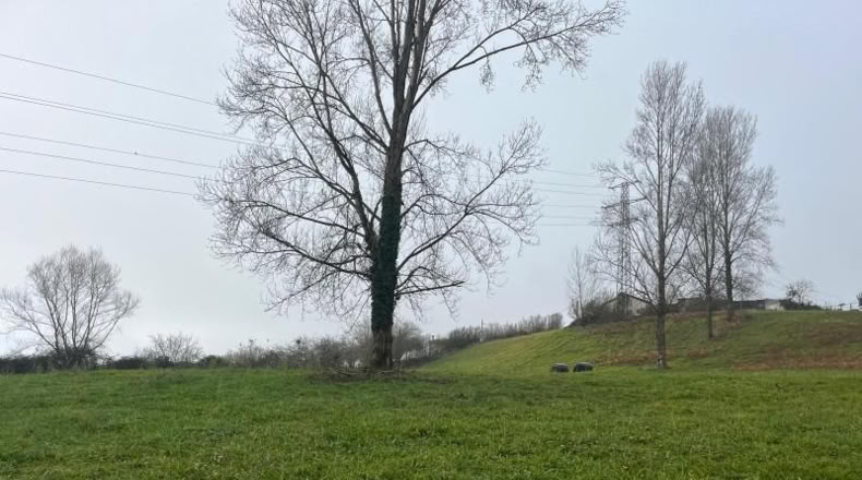 Asturias - Langreo - 555m2
