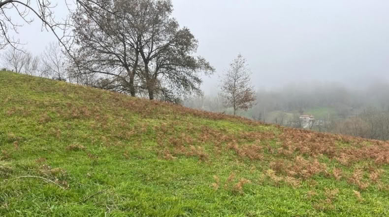 Asturias - Langreo - 555m2