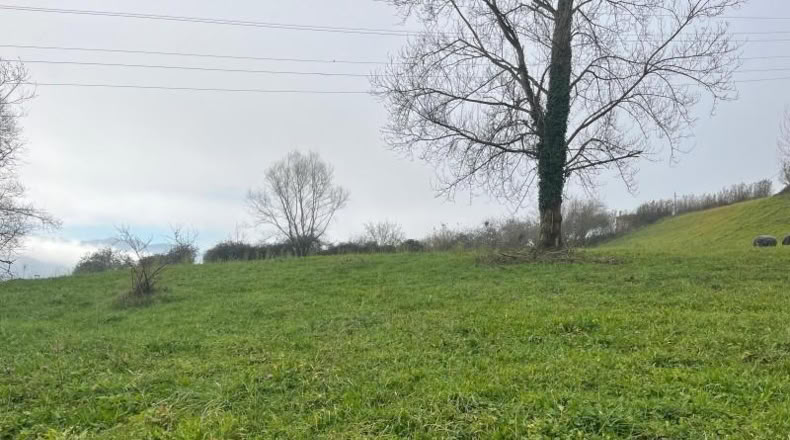 Asturias - Langreo - 555m2