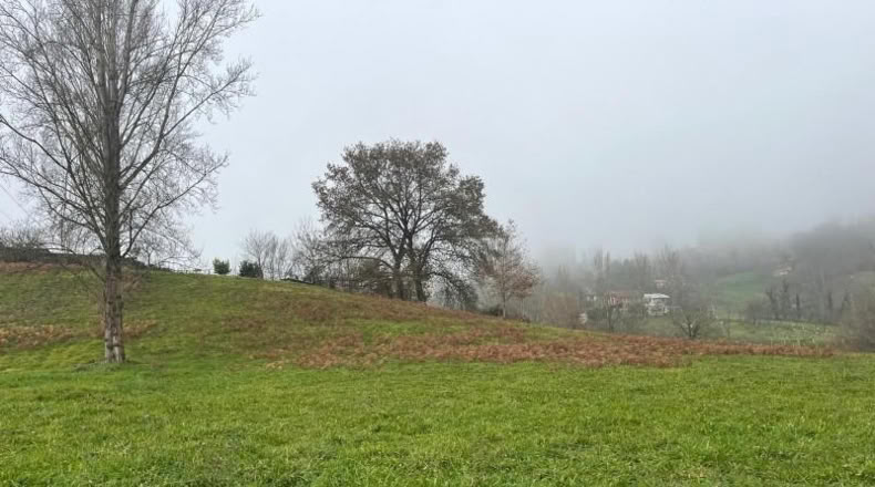 Asturias - Langreo - 555m2