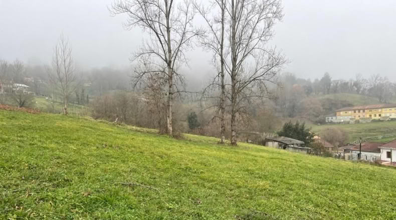 Asturias - Langreo - 555m2
