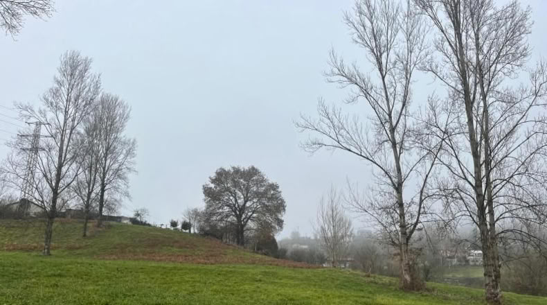 Asturias - Langreo - 555m2