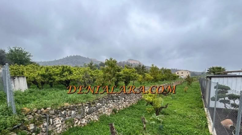 Alicante - Pego - 1000m2