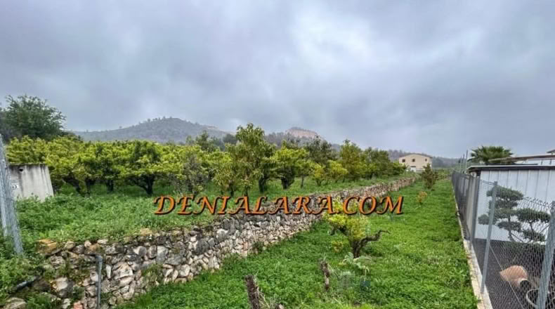 Alicante - Pego - 1000m2