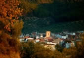 Дом с участком на продажу в городе Castellar Фото