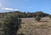 Detached villa with land for sale on España, Arens de Lledó, ref: TR337479 photo