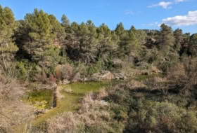 Arens de Lledó 14487&nbsp;m²