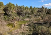 Detached villa with land for sale on España, Arens de Lledó, ref: TR337479 photo