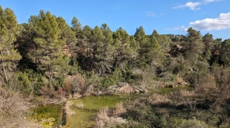 Teruel - Arens de Lledó - 14487m2