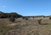 Detached villa with land for sale on España, Arens de Lledó, ref: TR337479 photo