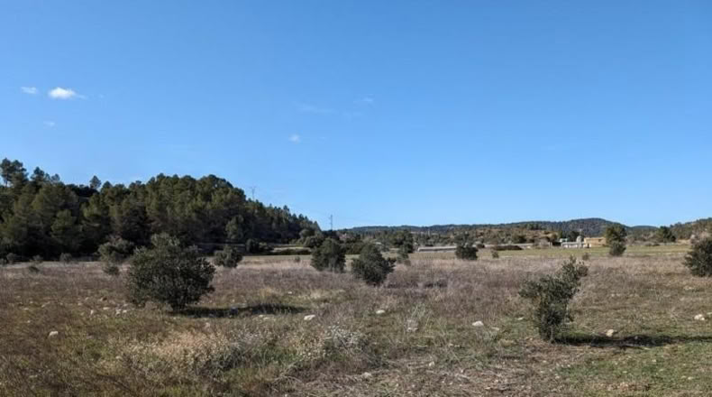 Teruel - Arens de Lledó - 14487m2