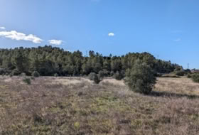 Arens de Lledó 14487&nbsp;m²