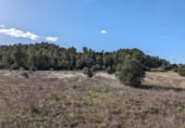 Detached villa with land for sale on España, Arens de Lledó, ref: TR337479 photo