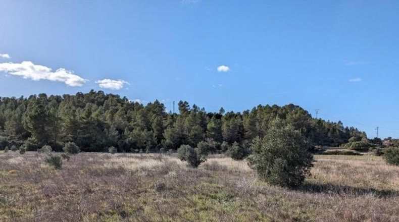 Teruel - Arens de Lledó - 14487m2