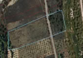 Detached villa with land for sale on España, Arens de Lledó, ref: TR337479 photo