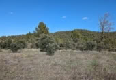 Detached villa with land for sale on España, Arens de Lledó, ref: TR337479 photo