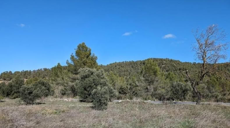 Teruel - Arens de Lledó - 14487m2