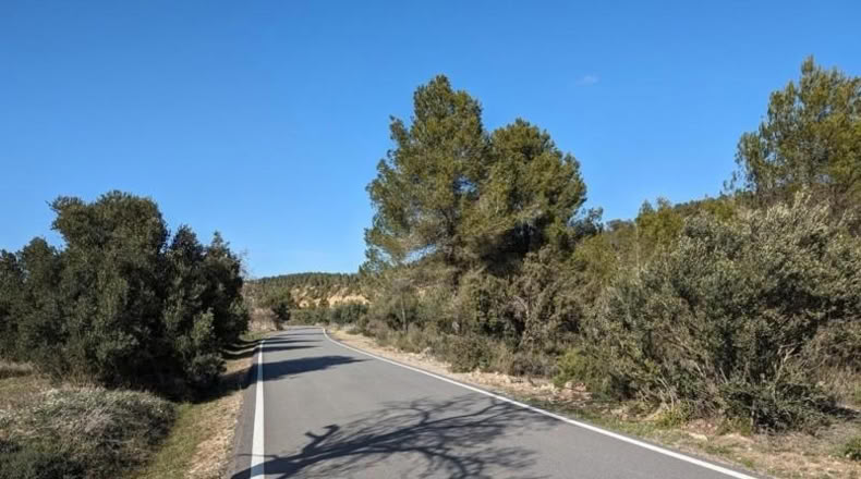 Teruel - Arens de Lledó - 14487m2