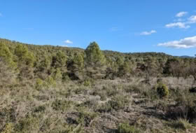 Arens de Lledó 14487&nbsp;m²