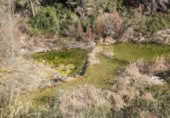 Detached villa with land for sale on España, Arens de Lledó, ref: TR337479 photo