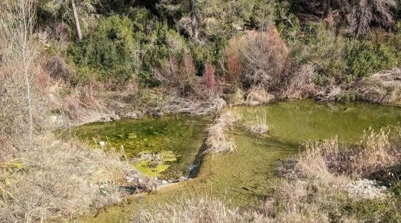Teruel - Arens de Lledó - 14487m2