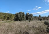 Detached villa with land for sale on España, Arens de Lledó, ref: TR337479 photo