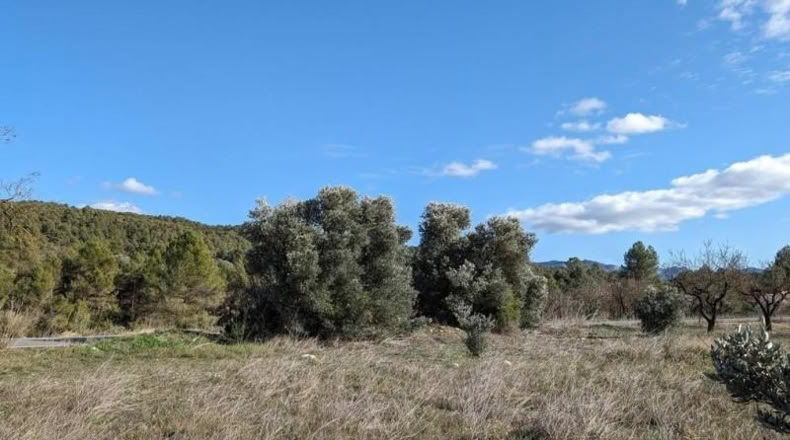 Teruel - Arens de Lledó - 14487m2