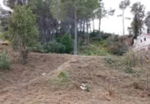 Terreny no urbanitzable en venda a la España, Sant Pere de Ribes, ref.: TR311134 foto