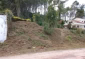 Terreny no urbanitzable en venda a la España, Sant Pere de Ribes, ref.: TR311134 foto