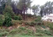 Terreny no urbanitzable en venda a la España, Sant Pere de Ribes, ref.: TR311134 foto