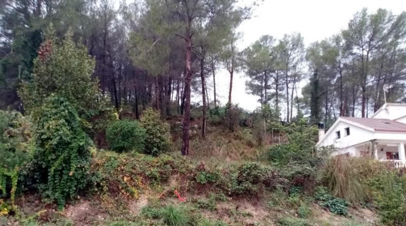 Barcelona - Sant Pere de Ribes - 1470m2
