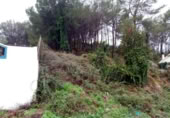 Terreny no urbanitzable en venda a la España, Sant Pere de Ribes, ref.: TR311134 foto