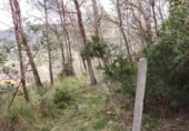 Terreny no urbanitzable en venda a la España, Sant Pere de Ribes, ref.: TR311134 foto