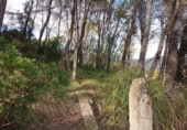 Terreny no urbanitzable en venda a la España, Sant Pere de Ribes, ref.: TR311134 foto