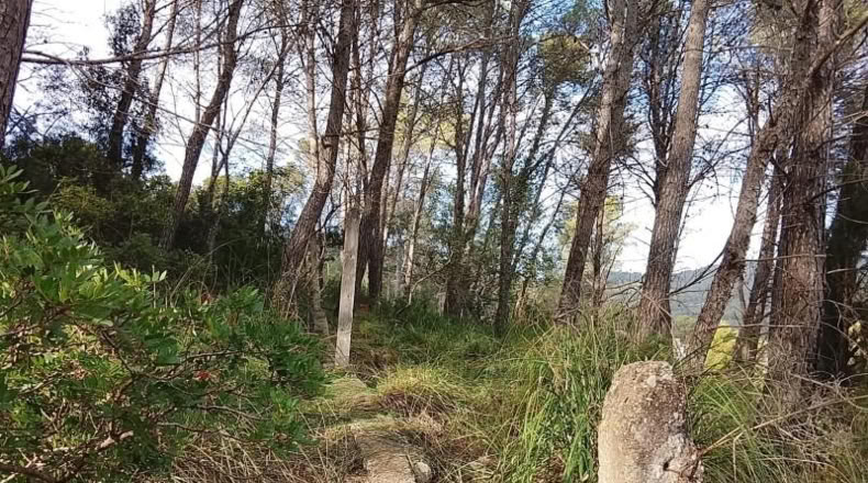 Barcelona - Sant Pere de Ribes - 1470m2