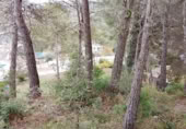 Terreny no urbanitzable en venda a la España, Sant Pere de Ribes, ref.: TR311134 foto