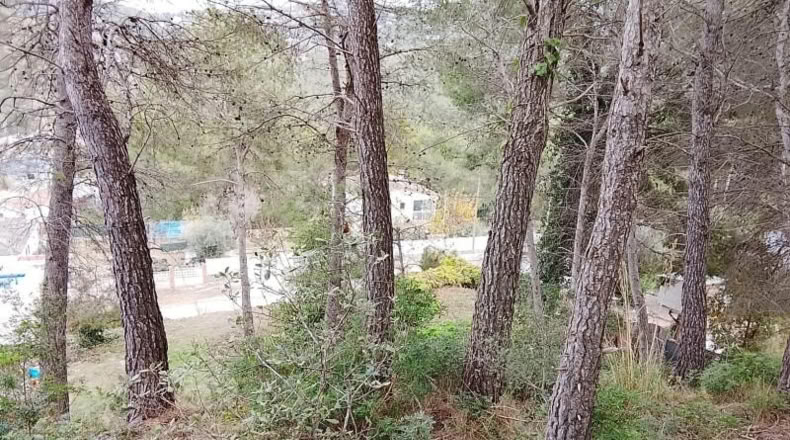 Barcelona - Sant Pere de Ribes - 1470m2