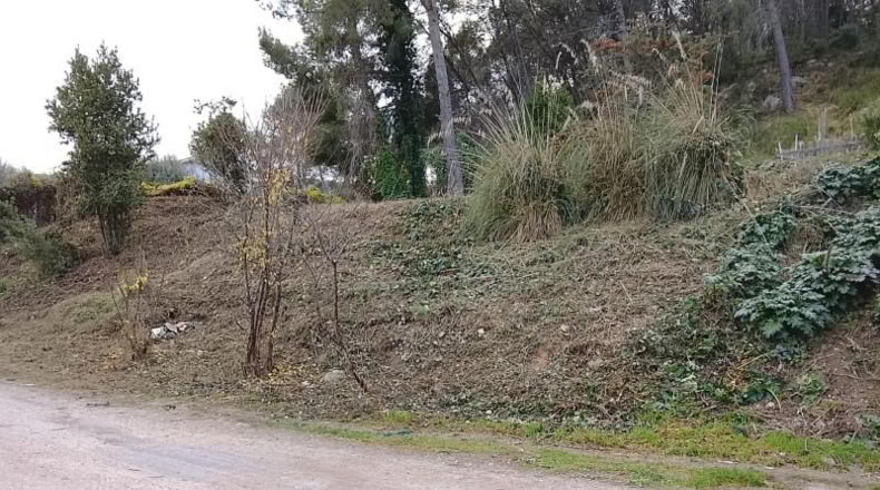 Barcelona - Sant Pere de Ribes - 1470m2