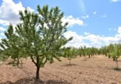 Xalet independent amb terreny en venda a la España, Arenys de Lledó, ref.: TR311454 foto