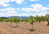 Xalet independent amb terreny en venda a la España, Arenys de Lledó, ref.: TR311454 foto