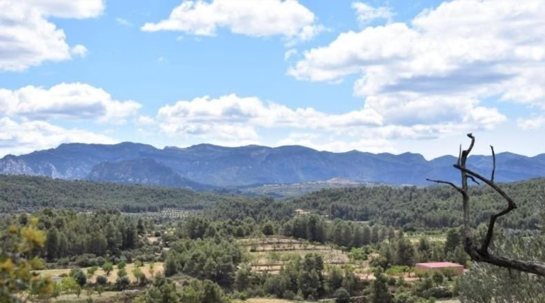Teruel - Arens de Lledó - 11331m2